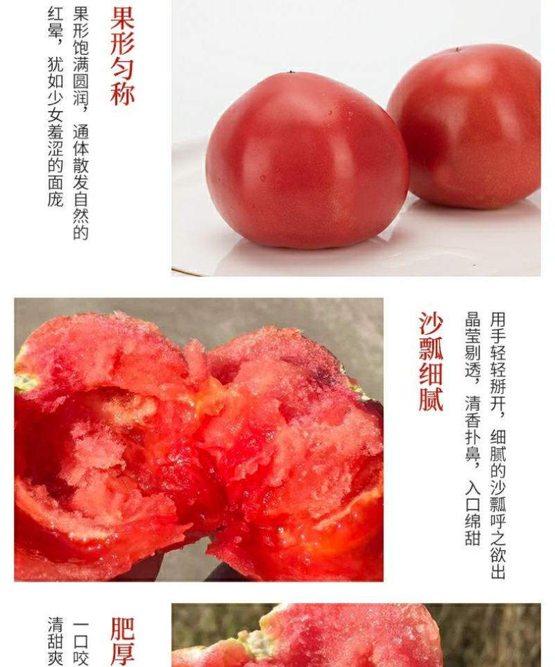 湖北长阳农家现摘普罗旺斯西红柿自然熟沙瓤水果番茄新鲜蔬菜