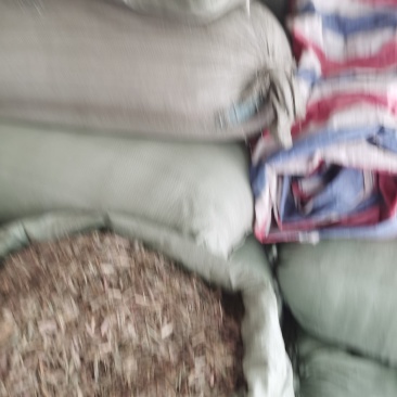 云南香茅草，包茅，柠檬草