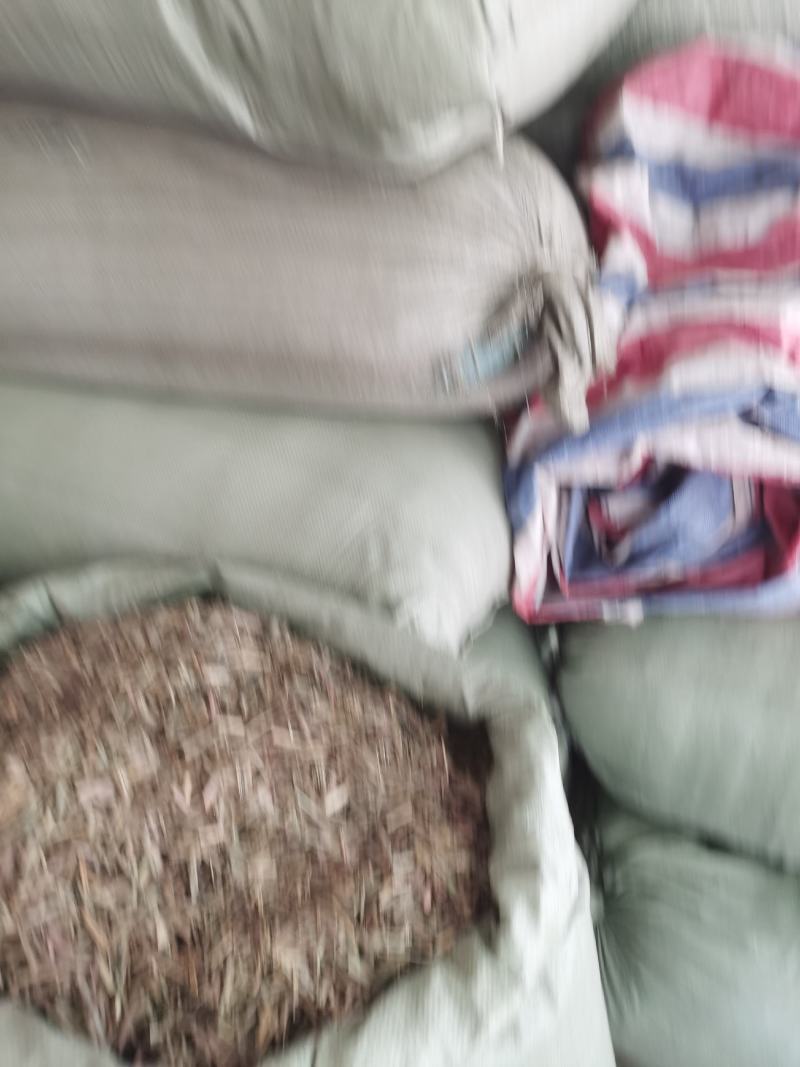 云南香茅草，包茅，柠檬草