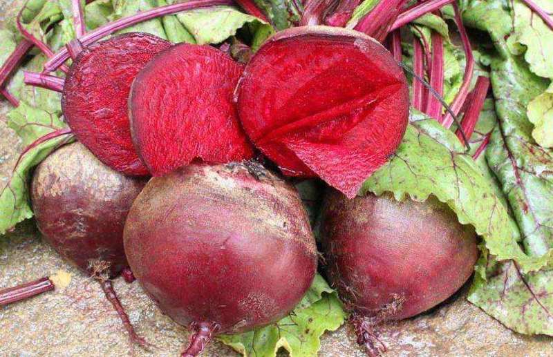 全年现货供应红甜菜产地直发市场加工脱水外贸红甜菜头