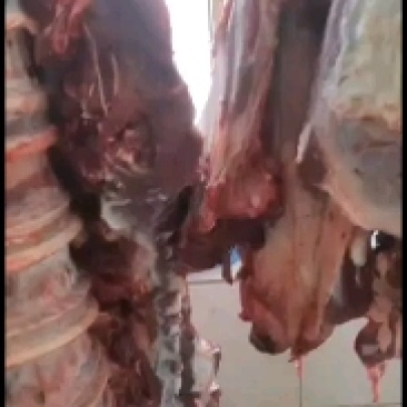 牛肉，黄牛肉，剔骨，去油，纯干无水，鲜肉