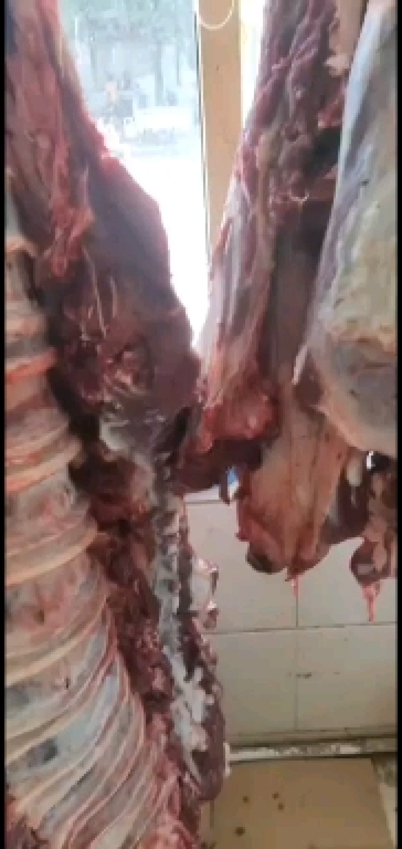 牛肉，黄牛肉，剔骨，去油，纯干无水，鲜肉