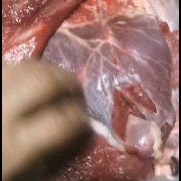 黄牛肉。纯干剔骨，无水，长年配送，长年有货，鲜货