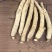【特惠】吉林长白上特产西洋参条纯批发价质量保证自产自发