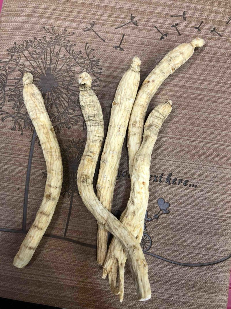 【特惠】吉林长白上特产西洋参条纯批发价质量保证自产自发