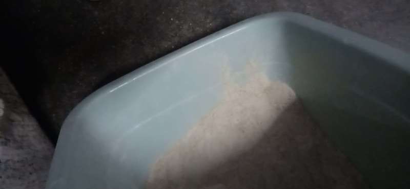 地瓜粉，自己加工，干净卫生