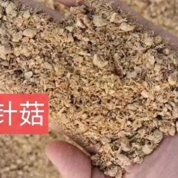 晾晒金针菇渣，金针菇渣