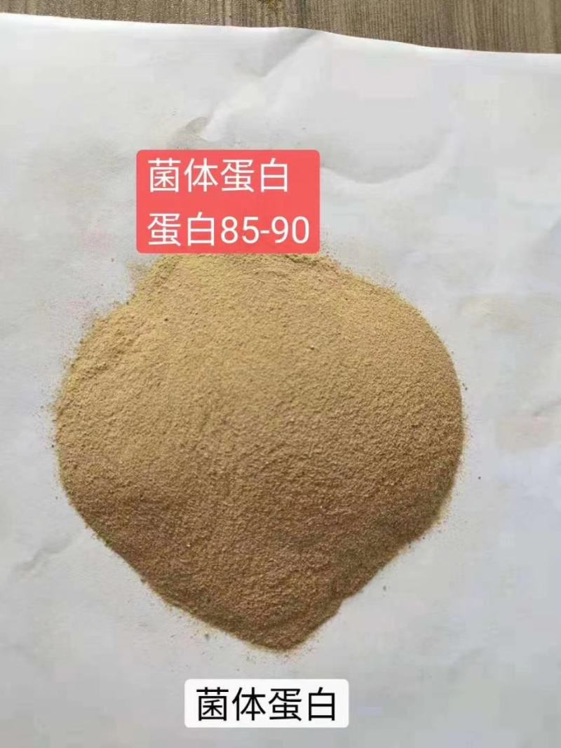 菌体蛋白，蛋白含量95左右