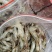 河虾，冰鲜大规格河虾，