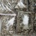 河虾，冰鲜大规格河虾，