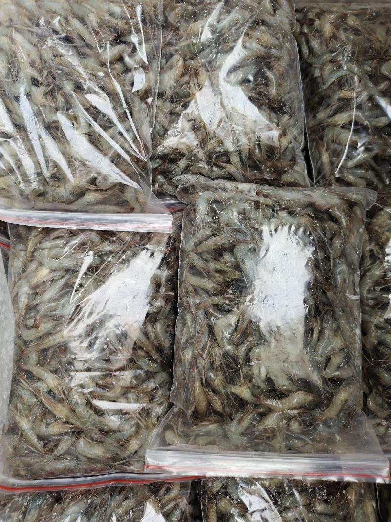 河虾，冰鲜大规格河虾，