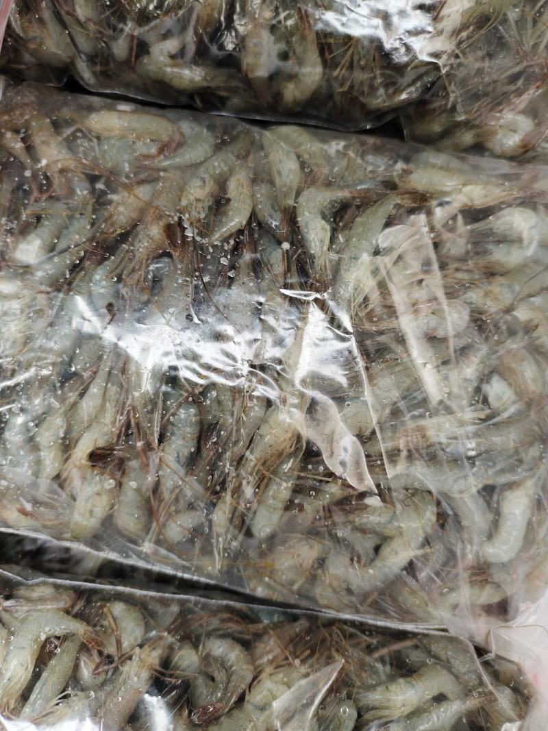 河虾，冰鲜大规格河虾，