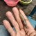 河虾，冰鲜大规格河虾，