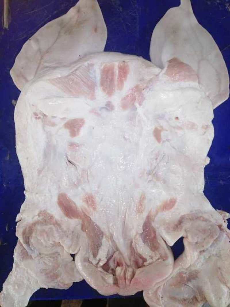 去骨猪脸肉惊爆价格促销中质量好干净无毛质量如图