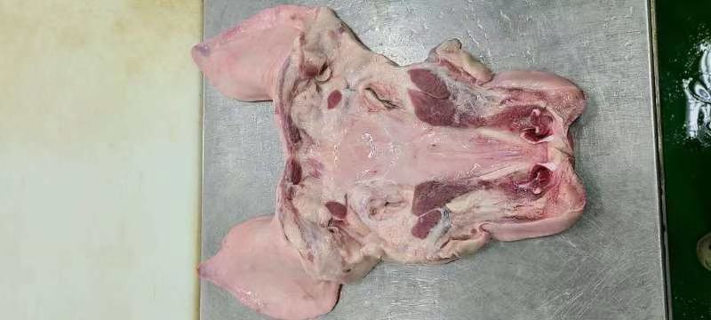 去骨猪脸肉惊爆价格促销中质量好干净无毛质量如图