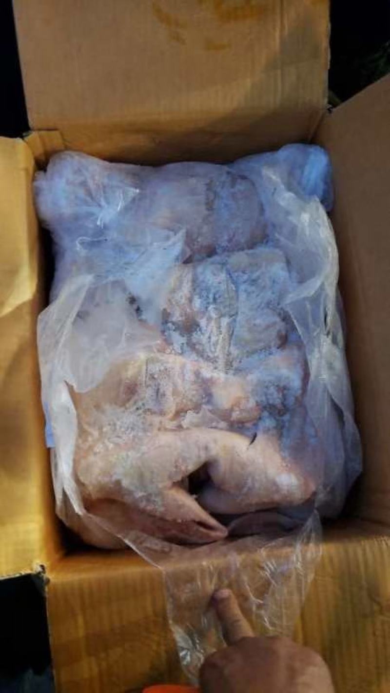 去骨猪脸肉惊爆价格促销中质量好干净无毛质量如图