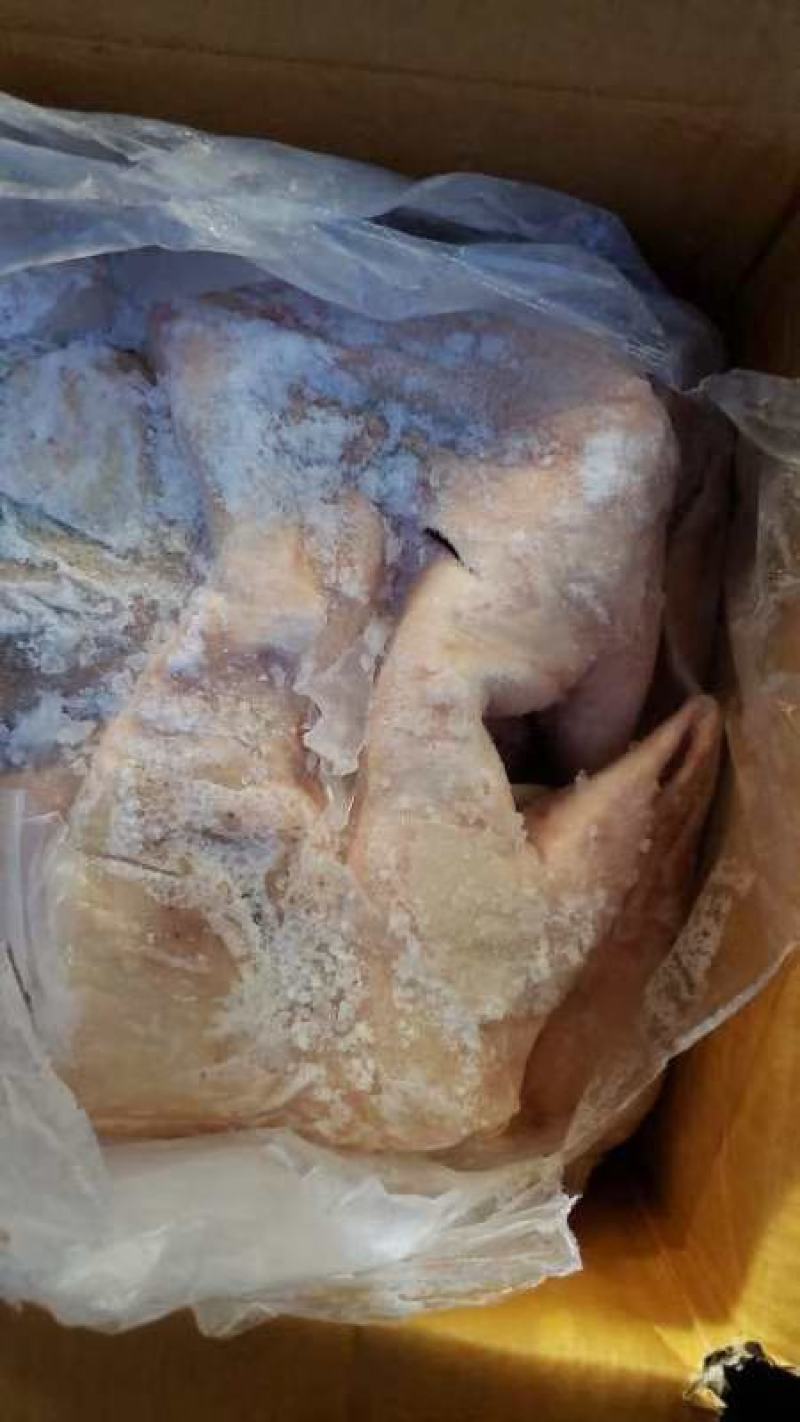 去骨猪脸肉惊爆价格促销中质量好干净无毛质量如图