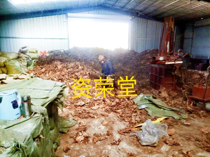 荷叶