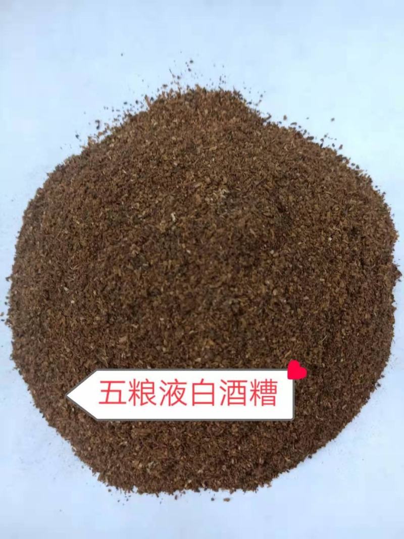 四川宜宾五粮液白酒糟