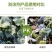 植物抗寒防冻剂果树蔬菜花卉药材抗寒抗冻修复冻害