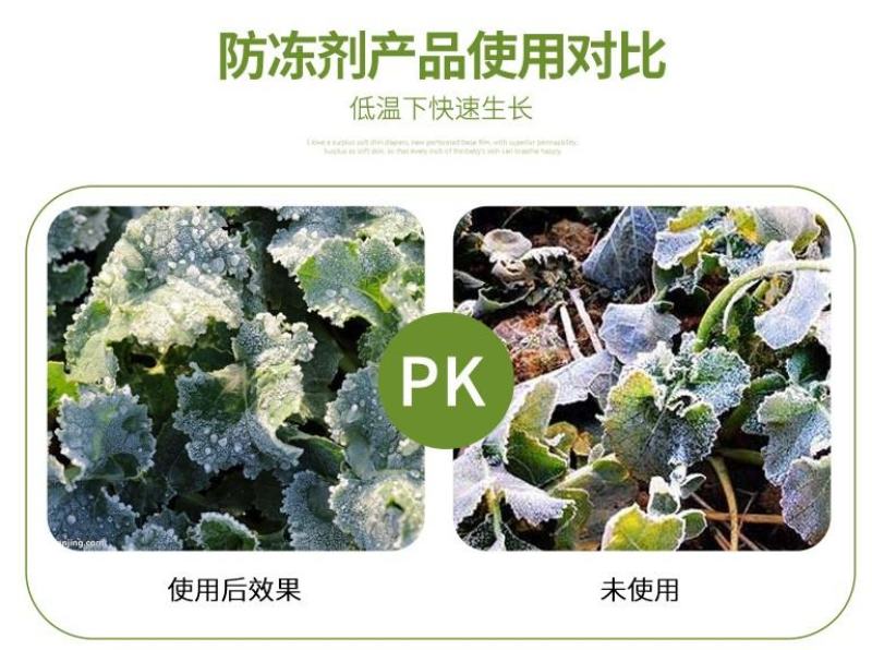 植物抗寒防冻剂果树蔬菜花卉药材抗寒抗冻修复冻害