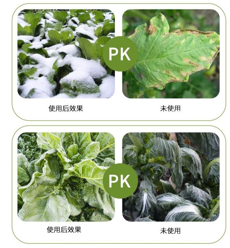 植物抗寒防冻剂果树蔬菜花卉药材抗寒抗冻修复冻害