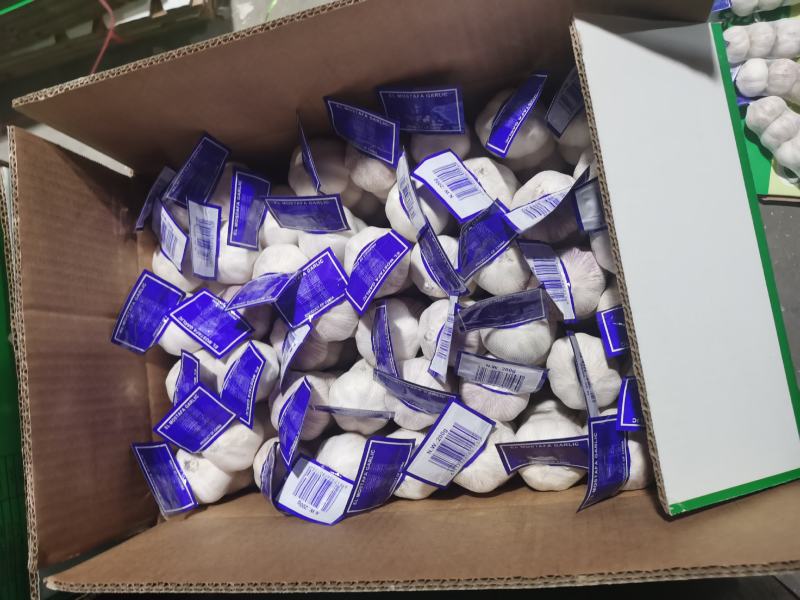 金乡大蒜，4.0-5.0-
