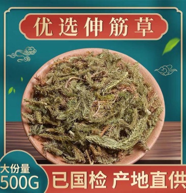 正品野生伸筋草舒筋草石松狮子草泡茶泡脚有远志