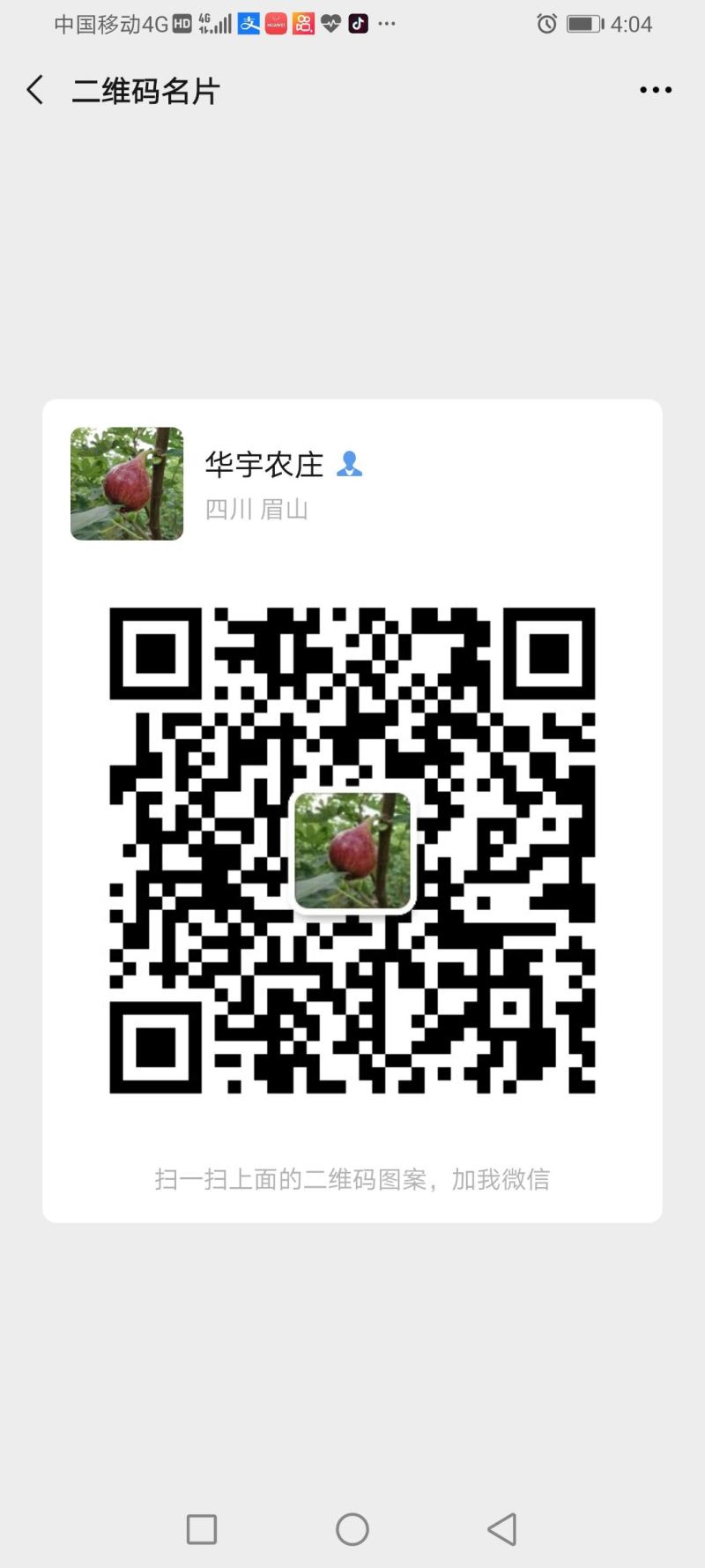 黄皮水果甘蔗，青皮水果甘蔗