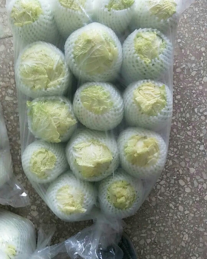 精品大娃娃菜精品小娃娃