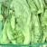芥菜(青菜)陆续上市，基地直供，一手货源，保证品质。
