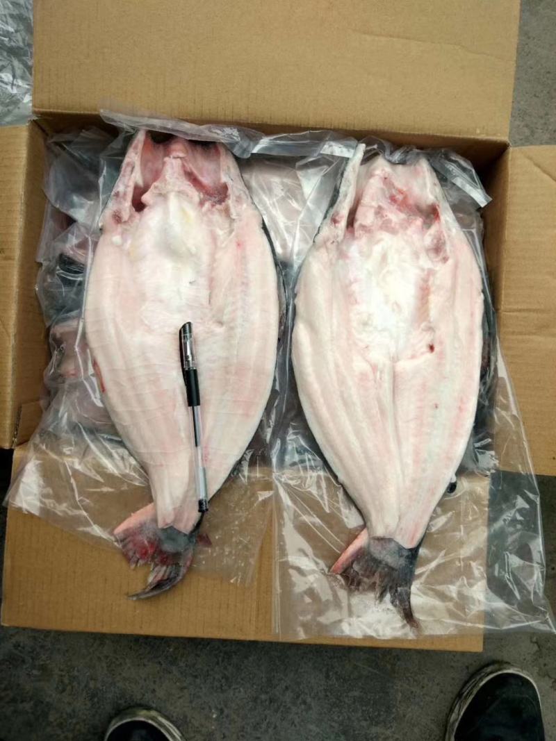 开背巴沙鱼，肉质鲜嫩，8一16条
