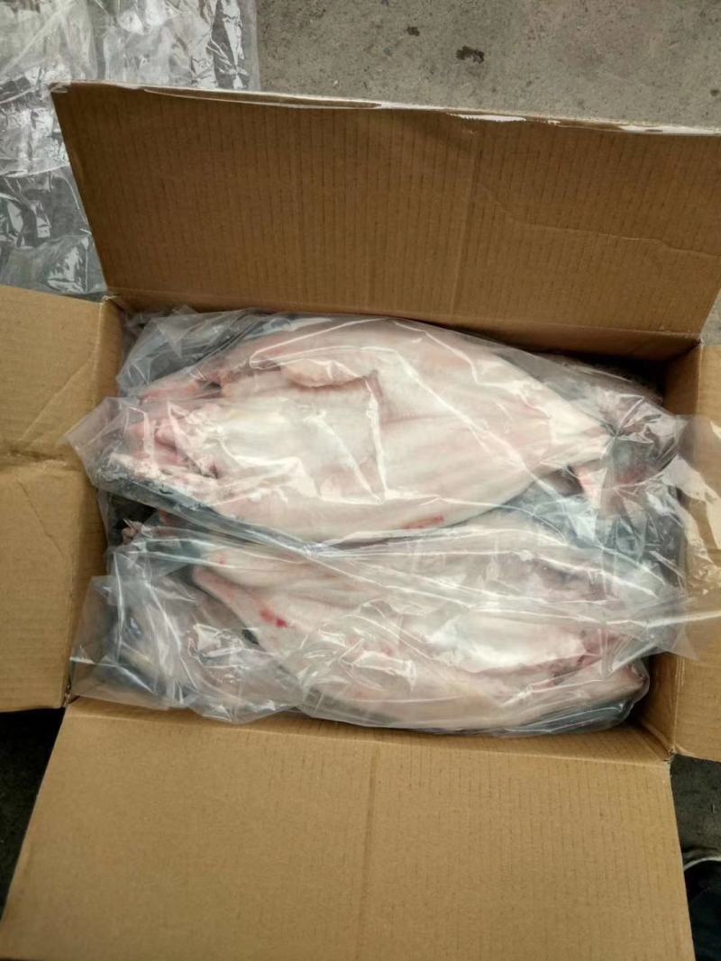 开背巴沙鱼，肉质鲜嫩，8一16条