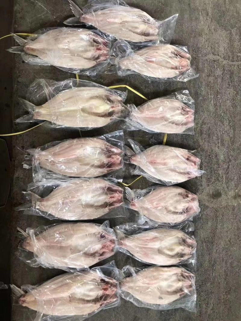 开背巴沙鱼，肉质鲜嫩，8一16条