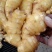 鲜姜出售，饱满圆润。