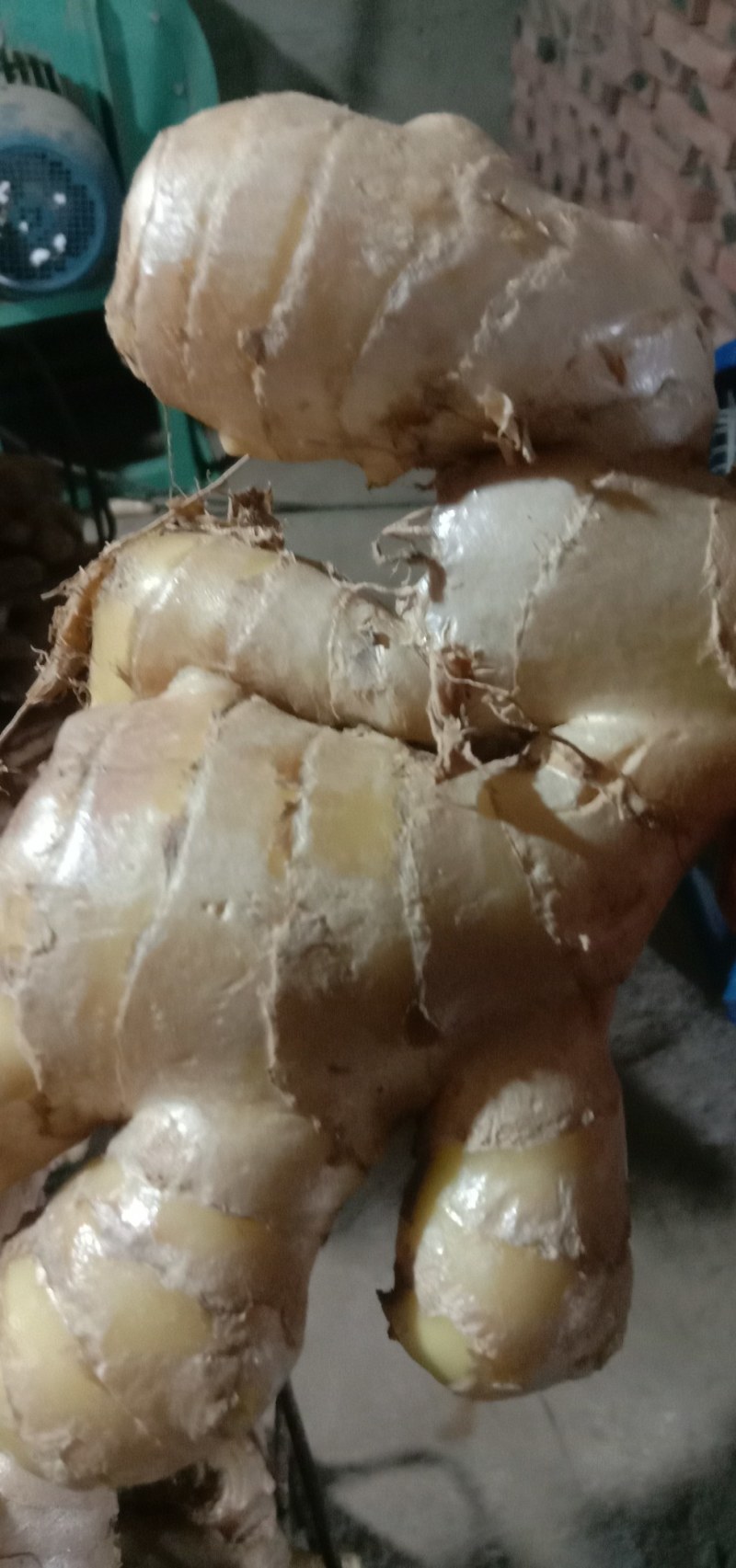 鲜姜出售，饱满圆润。