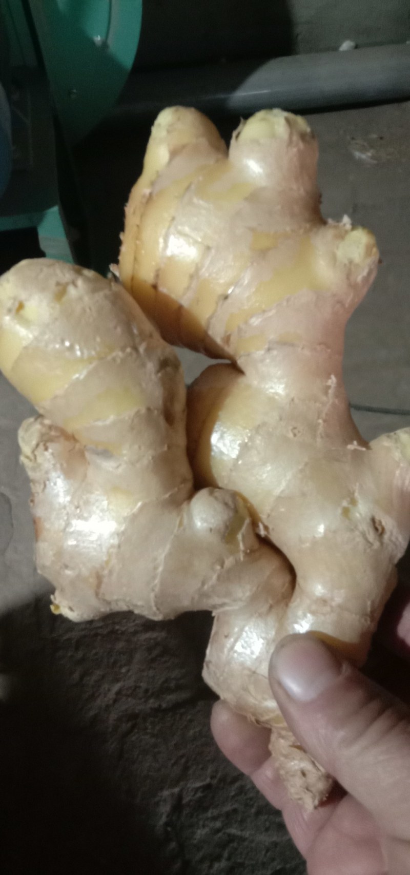 鲜姜出售，饱满圆润。