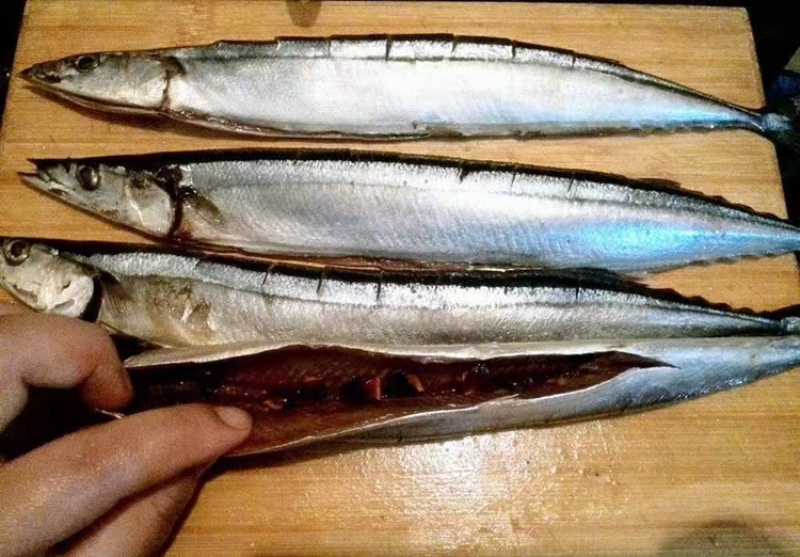秋刀鱼新鲜冷冻秋刀鱼2号秋刀鱼20斤装无冰衣