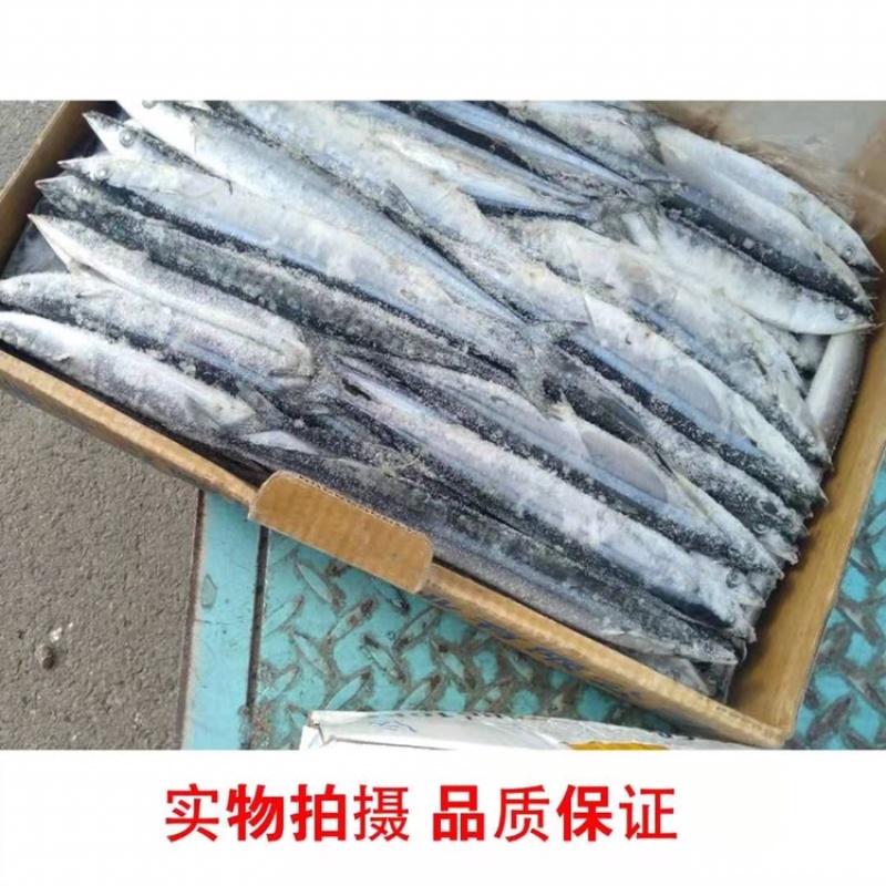 秋刀鱼新鲜冷冻秋刀鱼2号秋刀鱼20斤装无冰衣