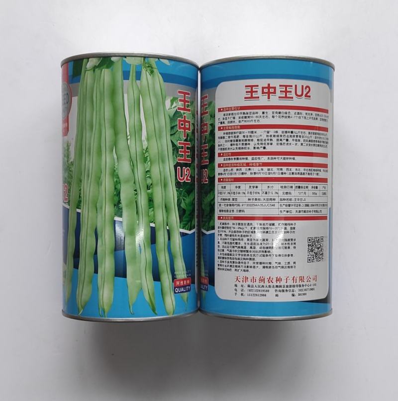 四季豆种子王中王U2特嫩架豆中早熟产量高荚嫩白绿色