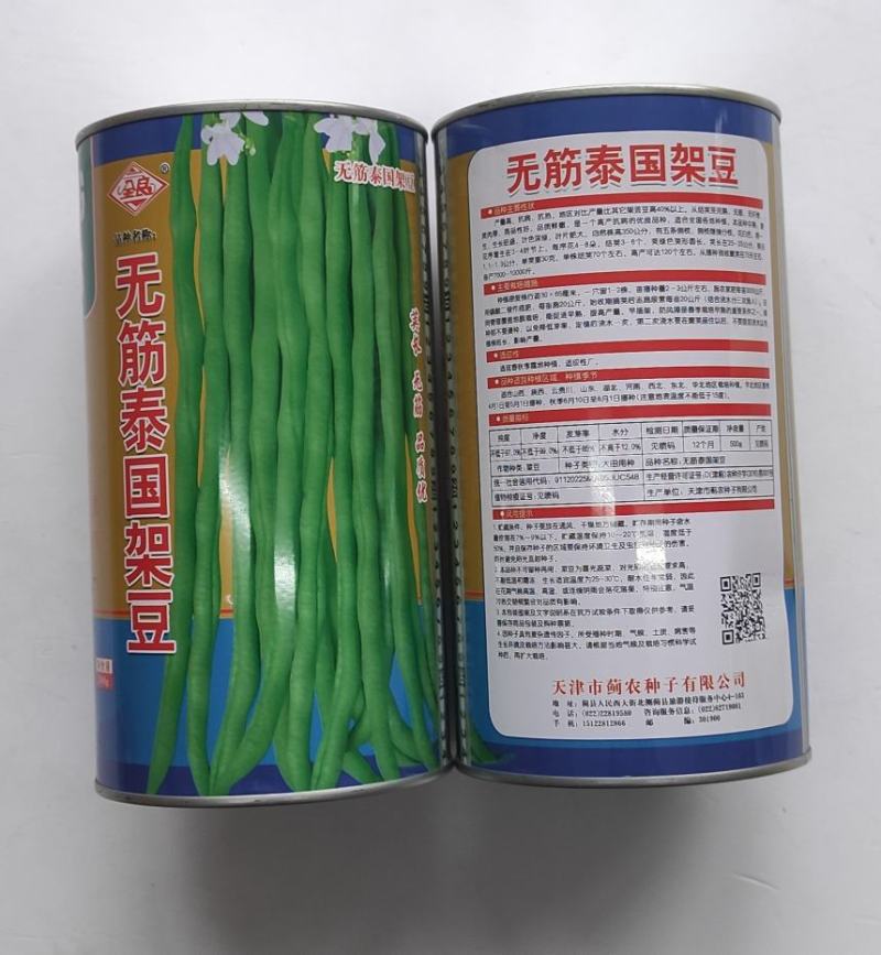 四季豆种子无筋泰国架豆抗病抗热产量高荚绿色荚形圆长荚肉厚