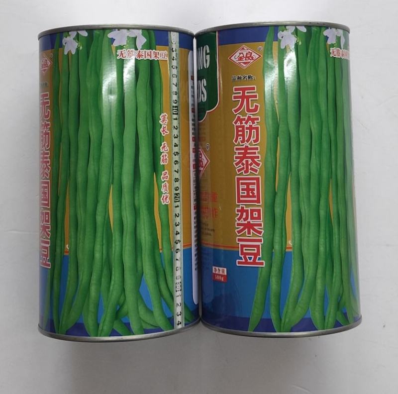 四季豆种子无筋泰国架豆抗病抗热产量高荚绿色荚形圆长荚肉厚