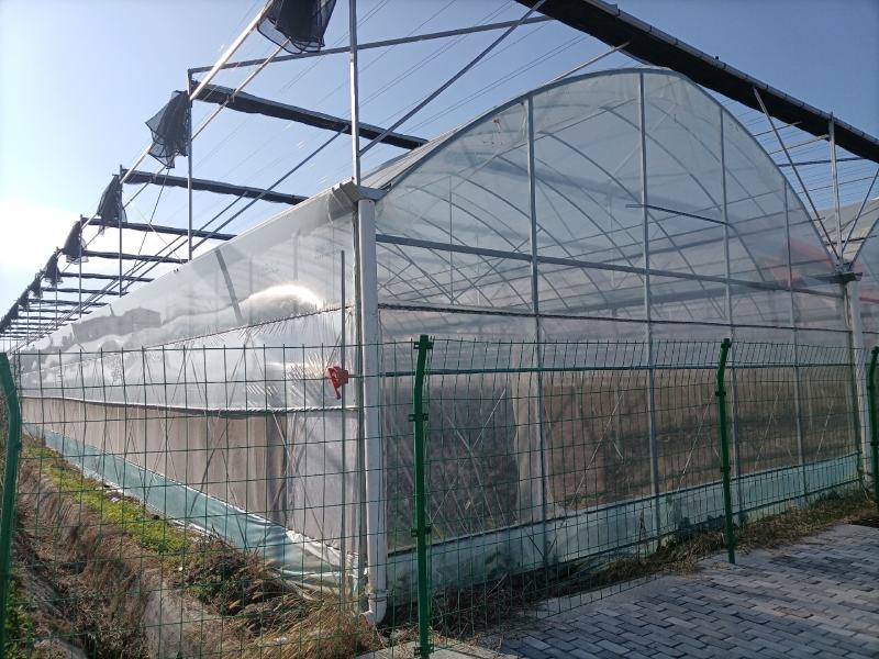 专业生产花卉大棚暖棚连栋温室大棚包建