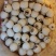 白莲子特级无硫去芯磨皮湘莲过筛精品特大一号莲子干货