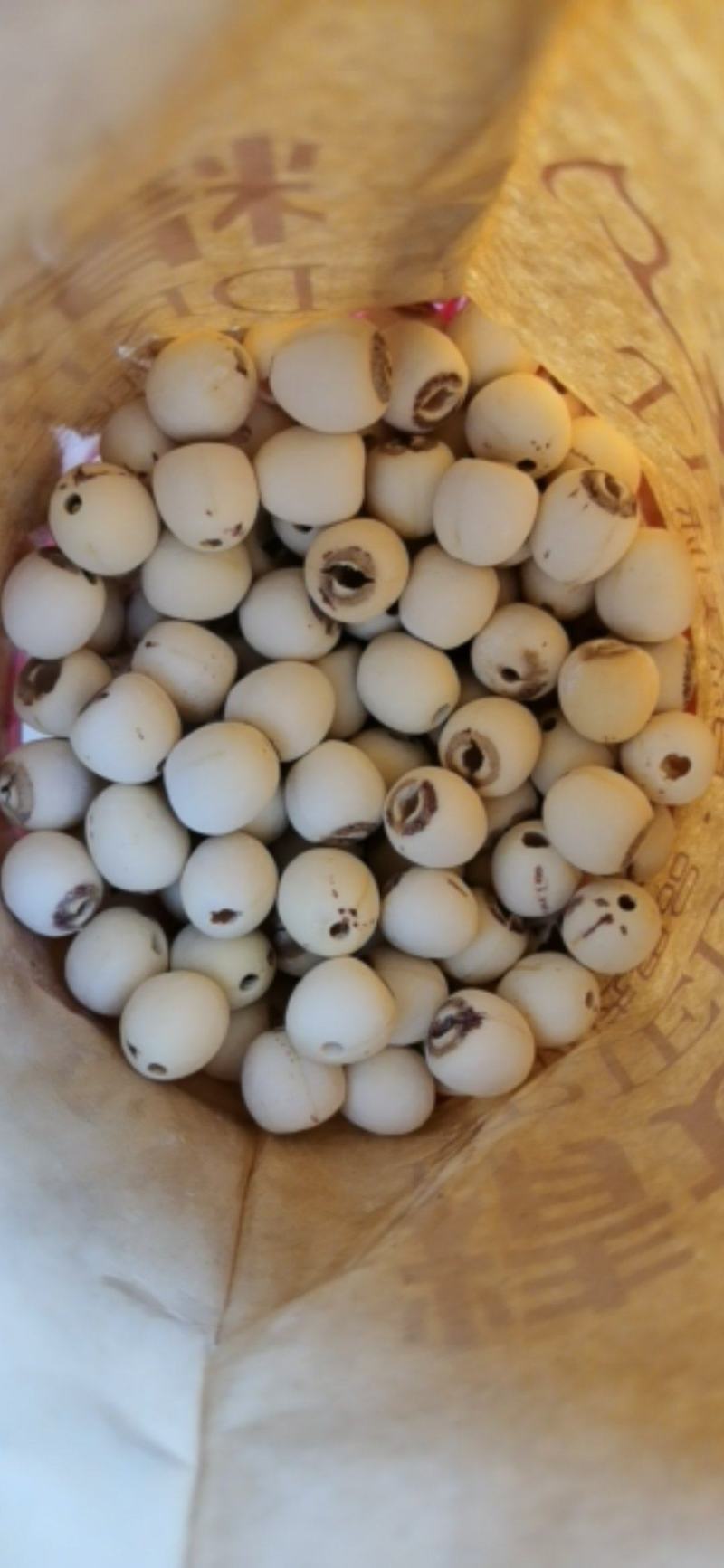 白莲子特级无硫去芯磨皮湘莲过筛精品特大一号莲子干货