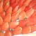 草莓！！！！！！！！！！！！！