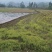 重庆地区乡村紫色页岩平坝丘陵农田壤土出租