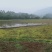 重庆地区乡村紫色页岩平坝丘陵农田壤土出租