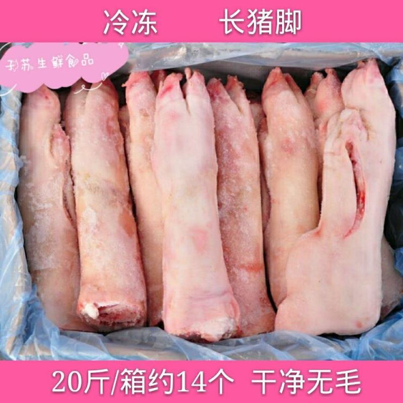 生鲜冷冻长猪蹄长猪脚长猪手整箱20斤厂家直销多省包