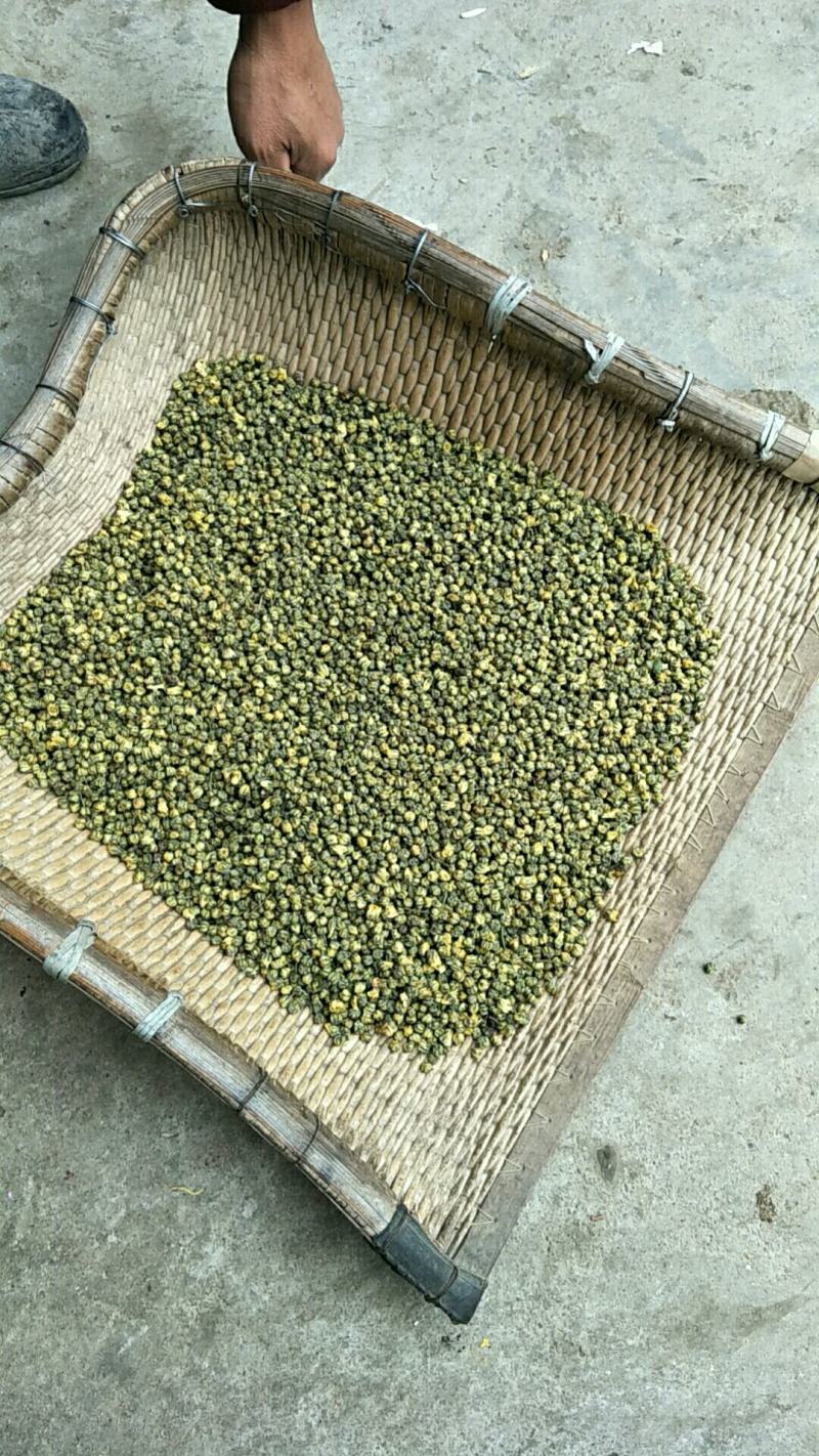北京菊胎菊大量出售。朵菊，胎菊，胎米有要货的老板可以联系